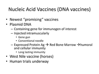 Nucleic Acid Vaccines (DNA vaccines)
• Newest “promising” vaccines
• Plasmid DNA
– Containing gene for immunogen of interest
– Injected intramuscularly
• Gene gun
• Conventional needle
– Expressed Protein Ag  Red Bone Marrow humoral
and cellular immunity
• Long lasting immunity
• West Nile vaccine (horses)
• Human trials underway
 