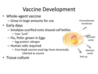 Vaccine Development
• Whole-agent vaccine
– Grow in large amounts for use
• Early days
– Smallpox scarified onto shaved calf bellies
• Cow “junk”
– Flu, Polio: grown in Eggs
• Egg protein: allergen
– Human cells required
• First HepB vaccine used Ags from chronically
infected as source
• Tissue culture Yolk sac
Allantoic
cavity
Amniotic
cavity
Chorioallantoic
membrane
 