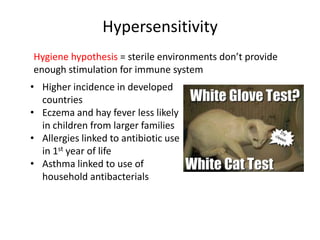 Hypersensitivity
Hygiene hypothesis = sterile environments don’t provide
enough stimulation for immune system
• Higher incidence in developed
countries
• Eczema and hay fever less likely
in children from larger families
• Allergies linked to antibiotic use
in 1st year of life
• Asthma linked to use of
household antibacterials
 