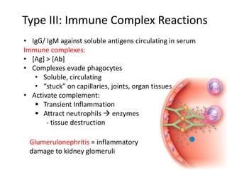 Type III: Immune Complex Reactions
• IgG/ IgM against soluble antigens circulating in serum
Immune complexes:
• [Ag] > [Ab]
• Complexes evade phagocytes
• Soluble, circulating
• “stuck” on capillaries, joints, organ tissues
• Activate complement:
 Transient Inflammation
 Attract neutrophils  enzymes
- tissue destruction
Glumerulonephritis = inflammatory
damage to kidney glomeruli
 