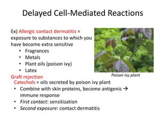 Delayed Cell-Mediated Reactions
Ex) Allergic contact dermatitis =
exposure to substances to which you
have become extra sensitive
• Fragrances
• Metals
• Plant oils (poison ivy)
• Latex
Graft rejection Poison ivy plant
Catechols = oils secreted by poison ivy plant
• Combine with skin proteins, become antigenic 
immune response
• First contact: sensitization
• Second exposure: contact dermatitis
 
