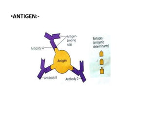 •ANTIGEN:-
 