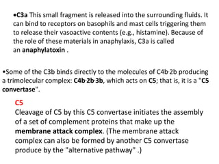 C3a This small fragment is released into the surrounding fluids. It
can bind to receptors on basophils and mast cells triggering them
to release their vasoactive contents (e.g., histamine). Because of
the role of these materials in anaphylaxis, C3a is called
an anaphylatoxin .
•Some of the C3b binds directly to the molecules of C4b.2b producing
a trimolecular complex: C4b.2b.3b, which acts on C5; that is, it is a "C5
convertase".
C5
Cleavage of C5 by this C5 convertase initiates the assembly
of a set of complement proteins that make up the
membrane attack complex. (The membrane attack
complex can also be formed by another C5 convertase
produce by the "alternative pathway" .)
 