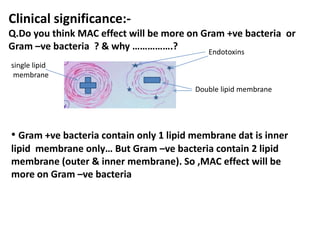 Clinical significance:-
Q.Do you think MAC effect will be more on Gram +ve bacteria or
Gram –ve bacteria ? & why …………….? Endotoxins
Double lipid membrane
single lipid
membrane
• Gram +ve bacteria contain only 1 lipid membrane dat is inner
lipid membrane only… But Gram –ve bacteria contain 2 lipid
membrane (outer & inner membrane). So ,MAC effect will be
more on Gram –ve bacteria
 