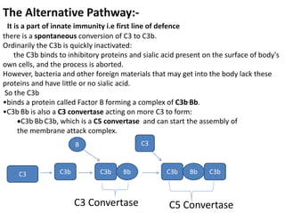The Alternative Pathway:-
It is a part of innate immunity i.e first line of defence
there is a spontaneous conversion of C3 to C3b.
Ordinarily the C3b is quickly inactivated:
the C3b binds to inhibitory proteins and sialic acid present on the surface of body's
own cells, and the process is aborted.
However, bacteria and other foreign materials that may get into the body lack these
proteins and have little or no sialic acid.
So the C3b
•binds a protein called Factor B forming a complex of C3b.Bb.
•C3b.Bb is also a C3 convertase acting on more C3 to form:
C3b.Bb.C3b, which is a C5 convertase and can start the assembly of
the membrane attack complex.
C3 C3b C3b
B
Bb C3b Bb C3b
C3
C5 ConvertaseC3 Convertase
 