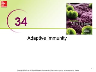 Adaptive Immunity
1
34
Copyright © McGraw-Hill Global Education Holdings, LLC. Permission required for reproduction or display.
 