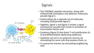 Adaptive immunity | PPTX