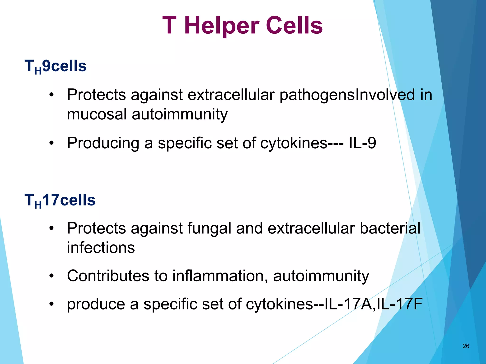 T Helper Cells
TH9cells
• Protects against extracellular pathogensInvolved in
mucosal autoimmunity
• Producing a specific set of cytokines--- IL-9
TH17cells
• Protects against fungal and extracellular bacterial
infections
• Contributes to inflammation, autoimmunity
• produce a specific set of cytokines--IL-17A,IL-17F
26
 