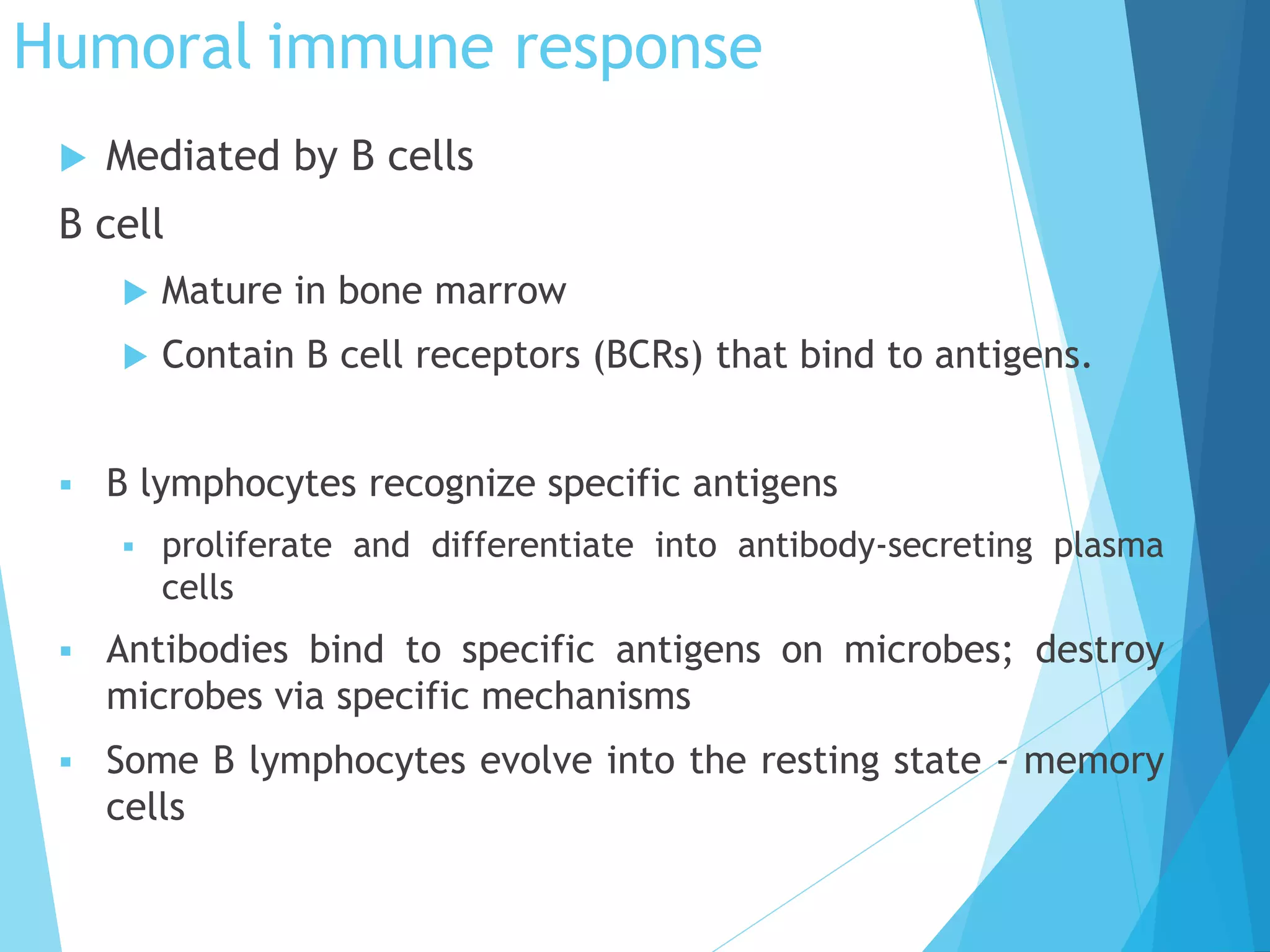 Humoral immune response
 Mediated by B cells
B cell
 Mature in bone marrow
 Contain B cell receptors (BCRs) that bind to antigens.
 B lymphocytes recognize specific antigens
 proliferate and differentiate into antibody-secreting plasma
cells
 Antibodies bind to specific antigens on microbes; destroy
microbes via specific mechanisms
 Some B lymphocytes evolve into the resting state - memory
cells
 