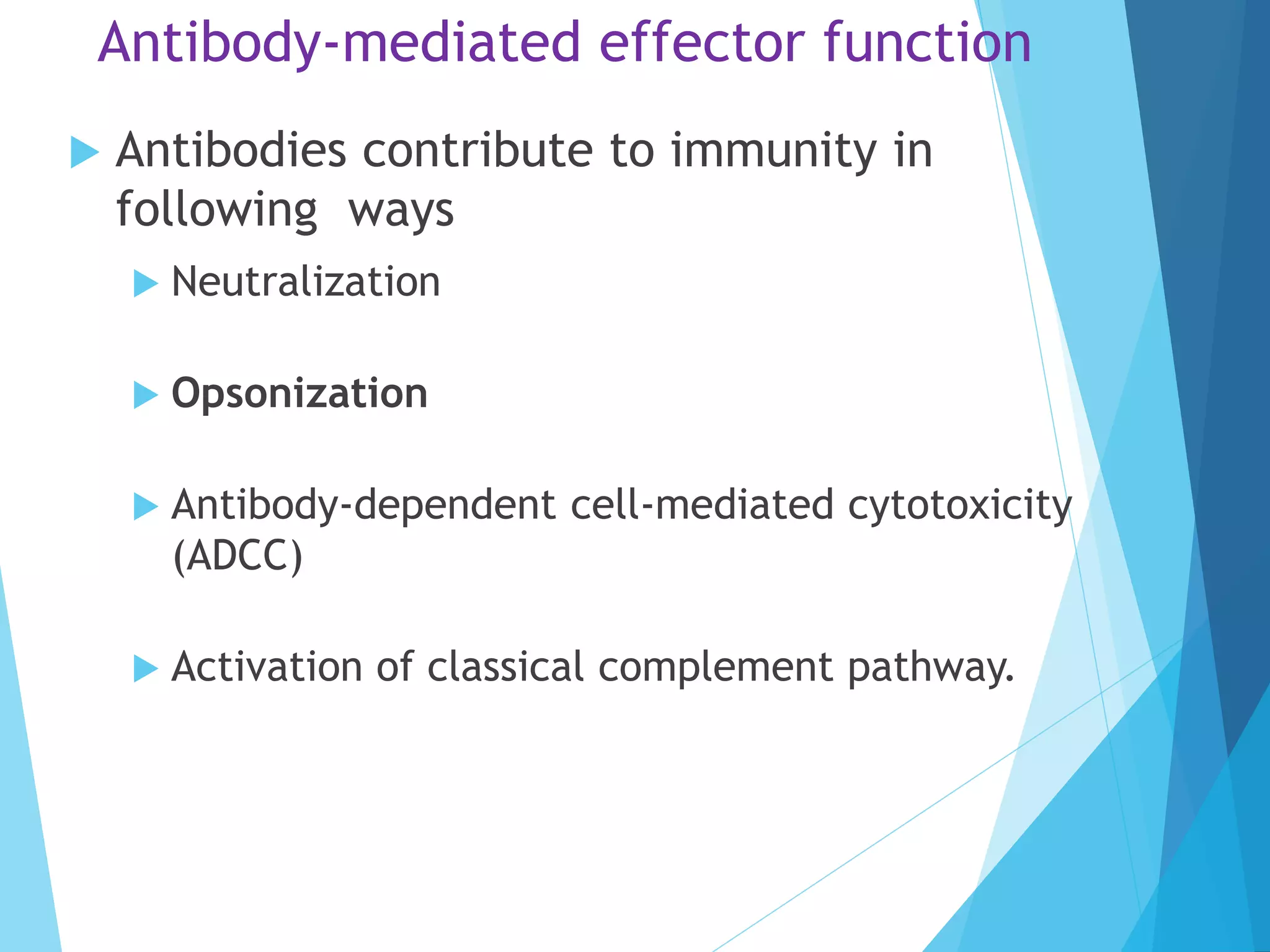 Antibody-mediated effector function
 Antibodies contribute to immunity in
following ways
 Neutralization
 Opsonization
 Antibody-dependent cell-mediated cytotoxicity
(ADCC)
 Activation of classical complement pathway.
 