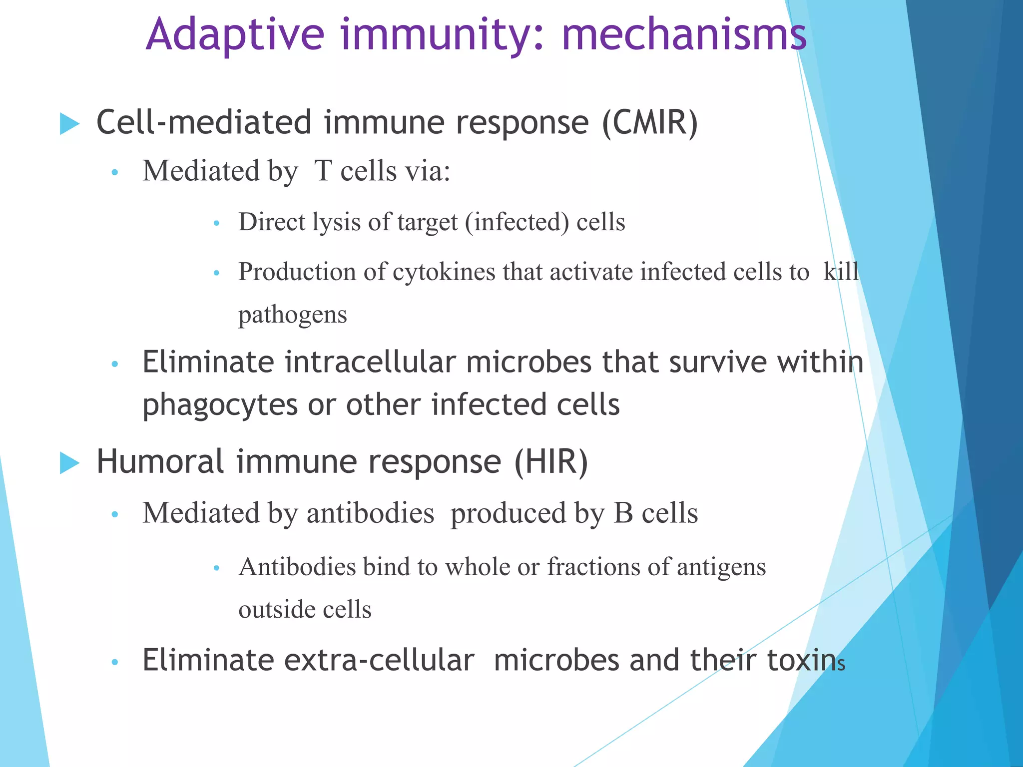 Adaptive immunity: mechanisms
 Cell-mediated immune response (CMIR)
• Mediated by T cells via:
• Direct lysis of target (infected) cells
• Production of cytokines that activate infected cells to kill
pathogens
• Eliminate intracellular microbes that survive within
phagocytes or other infected cells
 Humoral immune response (HIR)
• Mediated by antibodies produced by B cells
• Antibodies bind to whole or fractions of antigens
outside cells
• Eliminate extra-cellular microbes and their toxins
 