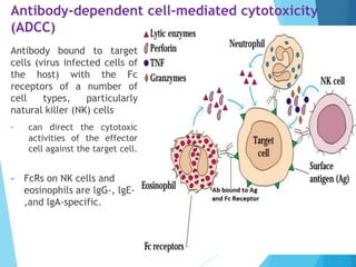 Adaptive immunity | PPTX