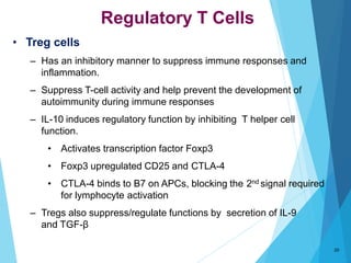 Regulatory T Cells
20
• Treg cells
– Has an inhibitory manner to suppress immune responses and
inflammation.
– Suppress T-...
