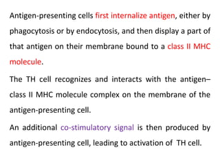 Antigen-presenting cells first internalize antigen, either by
phagocytosis or by endocytosis, and then display a part of
that antigen on their membrane bound to a class II MHC
molecule.
The TH cell recognizes and interacts with the antigen–
class II MHC molecule complex on the membrane of the
antigen-presenting cell.
An additional co-stimulatory signal is then produced by
antigen-presenting cell, leading to activation of TH cell.
 