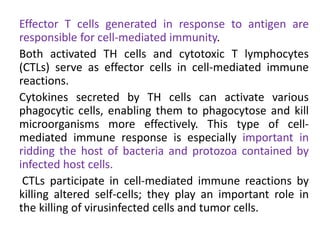 Effector T cells generated in response to antigen are
responsible for cell-mediated immunity.
Both activated TH cells and cytotoxic T lymphocytes
(CTLs) serve as effector cells in cell-mediated immune
reactions.
Cytokines secreted by TH cells can activate various
phagocytic cells, enabling them to phagocytose and kill
microorganisms more effectively. This type of cell-
mediated immune response is especially important in
ridding the host of bacteria and protozoa contained by
infected host cells.
CTLs participate in cell-mediated immune reactions by
killing altered self-cells; they play an important role in
the killing of virusinfected cells and tumor cells.
 