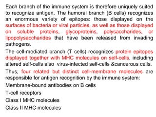 Each branch of the immune system is therefore uniquely suited
to recognize antigen. The humoral branch (B cells) recognizes
an enormous variety of epitopes: those displayed on the
surfaces of bacteria or viral particles, as well as those displayed
on soluble proteins, glycoproteins, polysaccharides, or
lipopolysaccharides that have been released from invading
pathogens.
The cell-mediated branch (T cells) recognizes protein epitopes
displayed together with MHC molecules on self-cells, including
altered self-cells also virus-infected self-cells &cancerous cells.
Thus, four related but distinct cell-membrane molecules are
responsible for antigen recognition by the immune system:
Membrane-bound antibodies on B cells
T-cell receptors
Class I MHC molecules
Class II MHC molecules
 