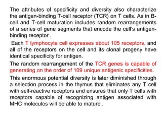 The attributes of specificity and diversity also characterize
the antigen-binding T-cell receptor (TCR) on T cells. As in B-
cell and T-cell maturation includes random rearrangements
of a series of gene segments that encode the cell’s antigen-
binding receptor .
Each T lymphocyte cell expresses about 105 receptors, and
all of the receptors on the cell and its clonal progeny have
identical specificity for antigen.
The random rearrangement of the TCR genes is capable of
generating on the order of 109 unique antigenic specificities.
This enormous potential diversity is later diminished through
a selection process in the thymus that eliminates any T cell
with self-reactive receptors and ensures that only T cells with
receptors capable of recognizing antigen associated with
MHC molecules will be able to mature .
 