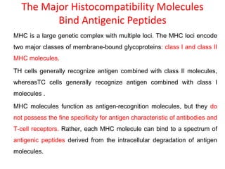 The Major Histocompatibility Molecules
Bind Antigenic Peptides
MHC is a large genetic complex with multiple loci. The MHC loci encode
two major classes of membrane-bound glycoproteins: class I and class II
MHC molecules.
TH cells generally recognize antigen combined with class II molecules,
whereasTC cells generally recognize antigen combined with class I
molecules .
MHC molecules function as antigen-recognition molecules, but they do
not possess the fine specificity for antigen characteristic of antibodies and
T-cell receptors. Rather, each MHC molecule can bind to a spectrum of
antigenic peptides derived from the intracellular degradation of antigen
molecules.
 