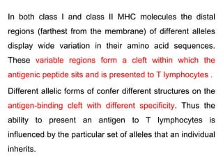 In both class I and class II MHC molecules the distal
regions (farthest from the membrane) of different alleles
display wide variation in their amino acid sequences.
These variable regions form a cleft within which the
antigenic peptide sits and is presented to T lymphocytes .
Different allelic forms of confer different structures on the
antigen-binding cleft with different specificity. Thus the
ability to present an antigen to T lymphocytes is
influenced by the particular set of alleles that an individual
inherits.
 