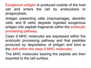 Exogenous antigen is produced outside of the host
cell and enters the cell by endocytosis or
phagocytosis.
Antigen presenting cells (macrophages, dendritic
cells, and B cells) degrade ingested exogenous
antigen into peptide fragments within the endocytic
processing pathway.
Class II MHC molecules are expressed within the
endocytic processing pathway and that peptides
produced by degradation of antigen and bind to
the cleft within the class II MHC molecules.
The MHC molecules bearing the peptide are then
exported to the cell surface.
 