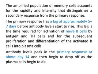The amplified population of memory cells accounts
for the rapidity and intensity that distinguishes a
secondary response from the primary response.
The primary response has a lag of approximately 5–
7 days before antibody levels start to rise. This lag is
the time required for activation of naive B cells by
antigen and TH cells and for the subsequent
proliferation and differentiation of the activated B
cells into plasma cells.
Antibody levels peak in the primary response at
about day 14 and then begin to drop off as the
plasma cells begin to die.
 