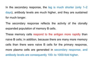 In the secondary response, the lag is much shorter (only 1–2
days), antibody levels are much higher, and they are sustained
for much longer.
The secondary response reflects the activity of the clonally
expanded population of memory B cells.
These memory cells respond to the antigen more rapidly than
naive B cells; in addition, because there are many more memory
cells than there were naive B cells for the primary response,
more plasma cells are generated in secondary response, and
antibody levels are consequently 100- to 1000-fold higher.
 