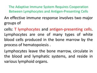 The Adaptive Immune System Requires Cooperation
Between Lymphocytes and Antigen-Presenting Cells
An effective immune response involves two major
groups of
cells: T lymphocytes and antigen-presenting cells.
Lymphocytes are one of many types of white
blood cells produced in the bone marrow by the
process of hematopoiesis .
Lymphocytes leave the bone marrow, circulate in
the blood and lymphatic systems, and reside in
various lymphoid organs.
 
