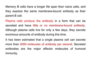 Memory B cells have a longer life span than naive cells, and
they express the same membrane-bound antibody as their
parent B cell.
Plasma cells produce the antibody in a form that can be
secreted and have little or no membrane-bound antibody.
Although plasma cells live for only a few days, they secrete
enormous amounts of antibody during this time.
It has been estimated that a single plasma cell can secrete
more than 2000 molecules of antibody per second. Secreted
antibodies are the major effector molecules of humoral
immunity.
 