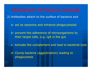 Mechanism of Humoral immunity
Mechanism of Humoral immunity
2) Antibodies attach to the surface of bacteria and
2) Antibodies attach to the surface of bacteria and
a
a-
- act as opsonins and enhance phagocytosisd
act as opsonins and enhance phagocytosisd
b
b-
- prevent the adherence of microorganisms to
prevent the adherence of microorganisms to
their target cells, e.g. IgA in the gut
their target cells, e.g. IgA in the gut
c
c-
- Activate the complement and lead to bacterial lysis
Activate the complement and lead to bacterial lysis
d
d-
- Clump bacteria (agglutination) leading to
Clump bacteria (agglutination) leading to
phagocytosis
phagocytosis
 