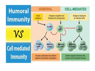 Adaptive immunity and immunology topicss | PDF