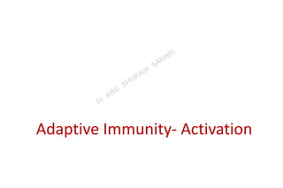 Adaptive Immunity- Activation
 