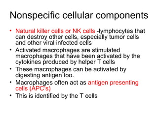 Nonspecific cellular components Natural killer cells or NK cells  -lymphocytes that can destroy other cells, especially tumor cells and other viral infected cells Activated macrophages are stimulated macrophages that have been activated by the cytokines produced by helper T cells These macrophages can be activated by digesting antigen too. Macrophages often act as  antigen presenting cells (APC’s)  This is identified by the T cells  