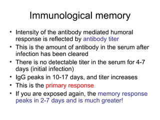Immunological memory Intensity of the antibody mediated humoral response is reflected by  antibody titer This is the amount of antibody in the serum after infection has been cleared There is no detectable titer in the serum for 4-7 days (initial infection) IgG peaks in 10-17 days, and titer increases This is the  primary response If you are exposed again, the  memory response peaks in 2-7 days and is much greater! 
