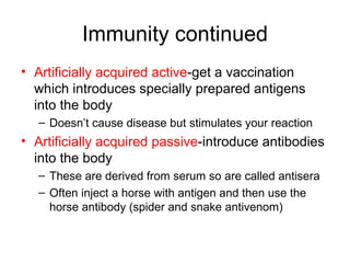 Immunity continued Artificially acquired active -get a vaccination which introduces specially prepared antigens into the body  Doesn’t cause disease but stimulates your reaction Artificially acquired passive -introduce antibodies into the body These are derived from serum so are called antisera  Often inject a horse with antigen and then use the horse antibody (spider and snake antivenom) 