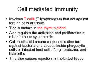Cell mediated Immunity Involves  T cells  (T lymphocytes) that act against foreign cells or tissue T cells mature in  the thymus gland Also regulate the activation and proliferation of other immune system cells Cell mediated immune response is directed against bacteria and viruses inside phagocytic cells or infected host cells, fungi, protozoa, and helminths This also causes rejection in implanted tissue 