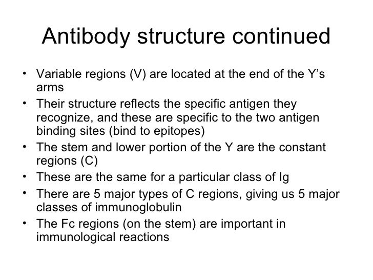 ch 17 adaptive immunity answers Adaptive immunity: specific defenses of the host (chapter 17) lecture materials for amy warenda czura, phd suffolk county community college eastern campus. ch 17 adaptive immunity answers Adaptive immunity: specific defenses of the host (chapter 17) lecture materials for amy warenda czura, phd suffolk county community college eastern campus.