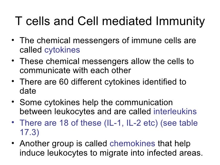 ch 17 adaptive immunity answers Adaptive immunity: specific defenses of the host (chapter 17) lecture materials for amy warenda czura, phd suffolk county community college eastern campus. ch 17 adaptive immunity answers Adaptive immunity: specific defenses of the host (chapter 17) lecture materials for amy warenda czura, phd suffolk county community college eastern campus.