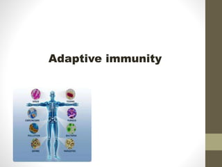 Adaptive immunity
 