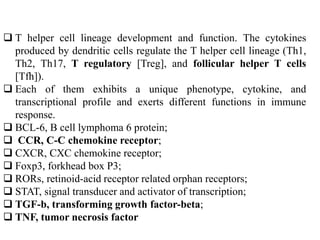  T helper cell lineage development and function. The cytokines
produced by dendritic cells regulate the T helper cell lineage (Th1,
Th2, Th17, T regulatory [Treg], and follicular helper T cells
[Tfh]).
 Each of them exhibits a unique phenotype, cytokine, and
transcriptional profile and exerts different functions in immune
response.
 BCL-6, B cell lymphoma 6 protein;
 CCR, C-C chemokine receptor;
 CXCR, CXC chemokine receptor;
 Foxp3, forkhead box P3;
 RORs, retinoid-acid receptor related orphan receptors;
 STAT, signal transducer and activator of transcription;
 TGF-b, transforming growth factor-beta;
 TNF, tumor necrosis factor
 