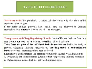 T-memory cells: The population of these cells increases only after their initial
exposure to an antigen.
If the same antigen presents itself again, they are triggered to convert
themselves into cytotoxic T cells and kill the pathogen.
TYPES OF EFFECTOR CELLS
T-suppressor cells/Treg/Regulatory T cells: have CD4 on their surface, but
they do not activate the immune system like helper T cells do
These form the part of the self-check built-in mechanism inside the body to
prevent excessive immune reactions by shutting down T cell-mediated
immunity once the pathogen has been defeated
Regulatory T cells suppress the immune response in several ways, including:
1. Producing anti-inflammatory cytokines that suppress the immune response
2. Releasing molecules that kill activated immune cells.
 