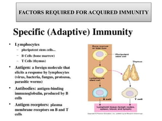 FACTORS REQUIRED FOR ACQUIRED IMMUNITY
 