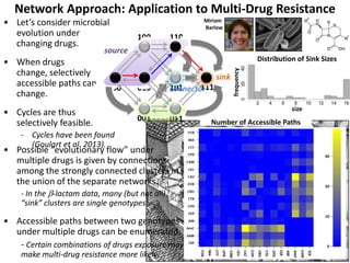 Network Approach: Application to Multi-Drug Resistance
• Let’s consider microbial
evolution under
changing drugs.
• When drugs
change, selectively
accessible paths can
change.
• Cycles are thus
selectively feasible.
- Cycles have been found
(Goulart et al. 2013).
Miriam
Barlow
• Possible “evolutionary flow” under
multiple drugs is given by connections
among the strongly connected clusters in
the union of the separate networks.
- In the b-lactam data, many (but not all)
“sink” clusters are single genotypes.
• Accessible paths between two genotypes
under multiple drugs can be enumerated.
- Certain combinations of drugs exposure may
make multi-drug resistance more likely.
000
100
010
001
110
101
011
111
sink
connector
connector
source
Number of Accessible Paths
Distribution of Sink Sizes
size
frequency
 