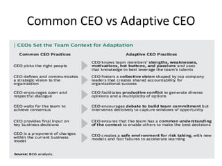 Common CEO vs Adaptive CEO
 
