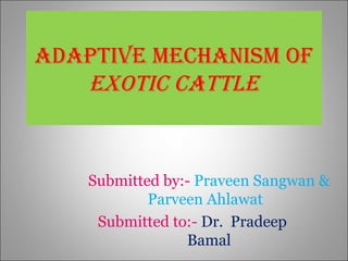 ADAPTIVE MECHANISM of
EXoTIC CATTLE
Submitted by:- Praveen Sangwan &
Parveen Ahlawat
Submitted to:- Dr. Pradeep
Bamal
 