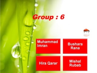 Group : 6
 