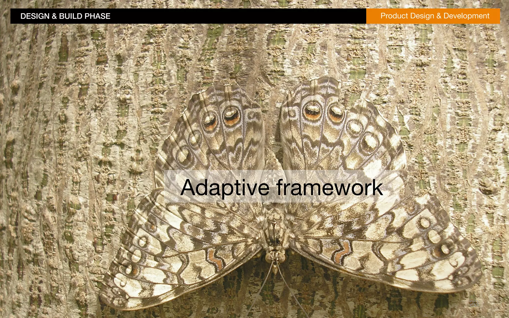 DESIGN & BUILD PHASE!Product Design & Development 
23 
Adaptive framework 
 