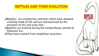 REPTILES AND THEIR EVOLUTION
Reptiles are ectothermic amniotes which have adapted
crawling mode of life and are characterised by the
presence of dry and scaly skin.
Reptiles are evolved during the Carboniferous period of
Palaezoic Era.
They have evolved from amphibian ancestors.
 