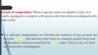 4.Lack of competition. When a species enters an adaptive zone, it is
poorly equipped to compete with species that have become adapted to the
same niche.
For example, mudskippers are fish that are making a living on land, but
they are marine fish and they don't have to compete against frogs and
salamanders, which are restricted to fresh water. That is why we don't
see freshwater mudskippers.
 