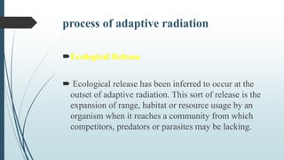 process of adaptive radiation
Ecological Release
 Ecological release has been inferred to occur at the
outset of adaptive radiation. This sort of release is the
expansion of range, habitat or resource usage by an
organism when it reaches a community from which
competitors, predators or parasites may be lacking.
 
