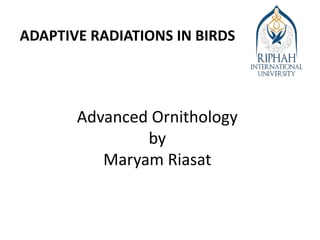 Adaptive Radiations in Birds.pptx